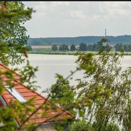 Tobi 39, Olimpijska *