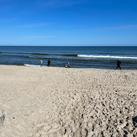 Tobi 39, Olimpijska 梅尔诺