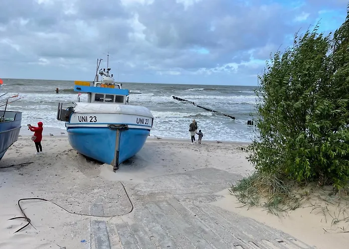 Tobi 39, Olimpijska *